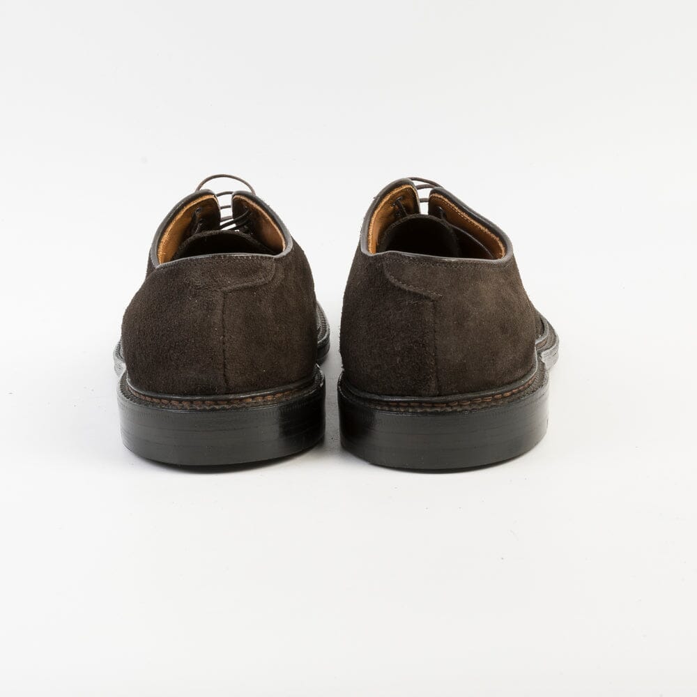 ALDEN - Derby 29334F - Testa di moro Scarpe Uomo Alden