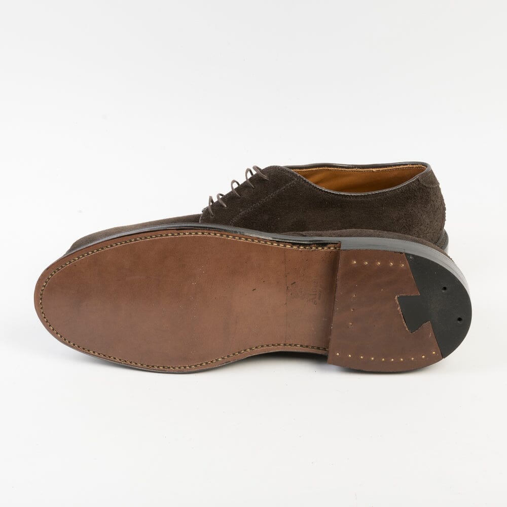 ALDEN - Derby 29334F - Testa di moro Scarpe Uomo Alden
