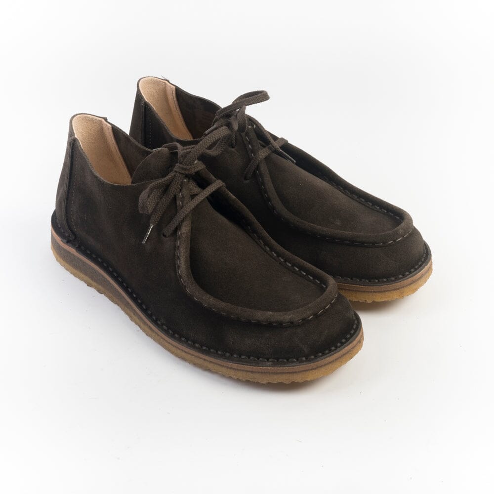 ASTORFLEX - Polacco - 480 - Beenflex - Testa di moro Scarpe Uomo ASTORFLEX - Colllezione Uomo