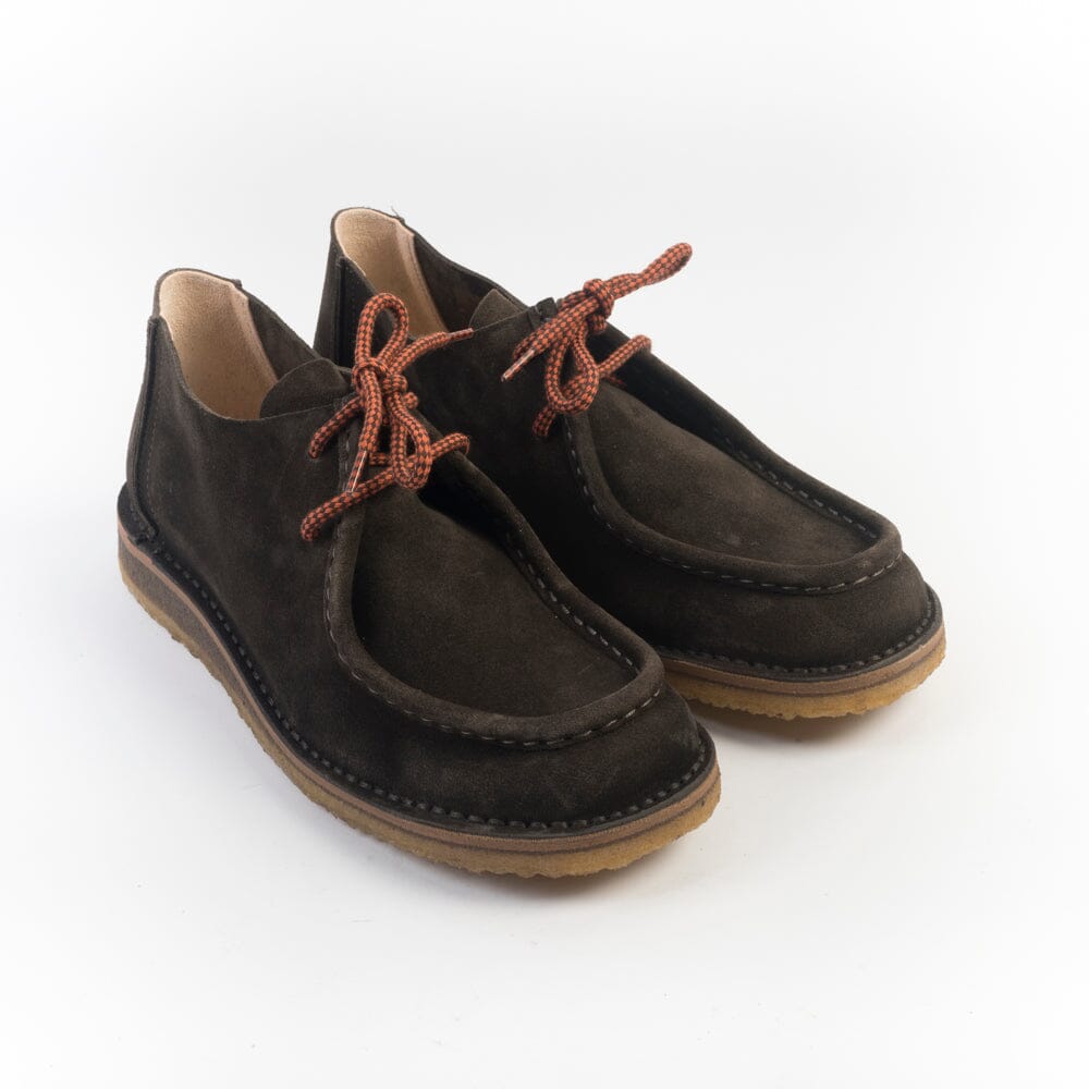 ASTORFLEX - Polacco - 480 - Beenflex - Testa di moro Scarpe Uomo ASTORFLEX - Colllezione Uomo