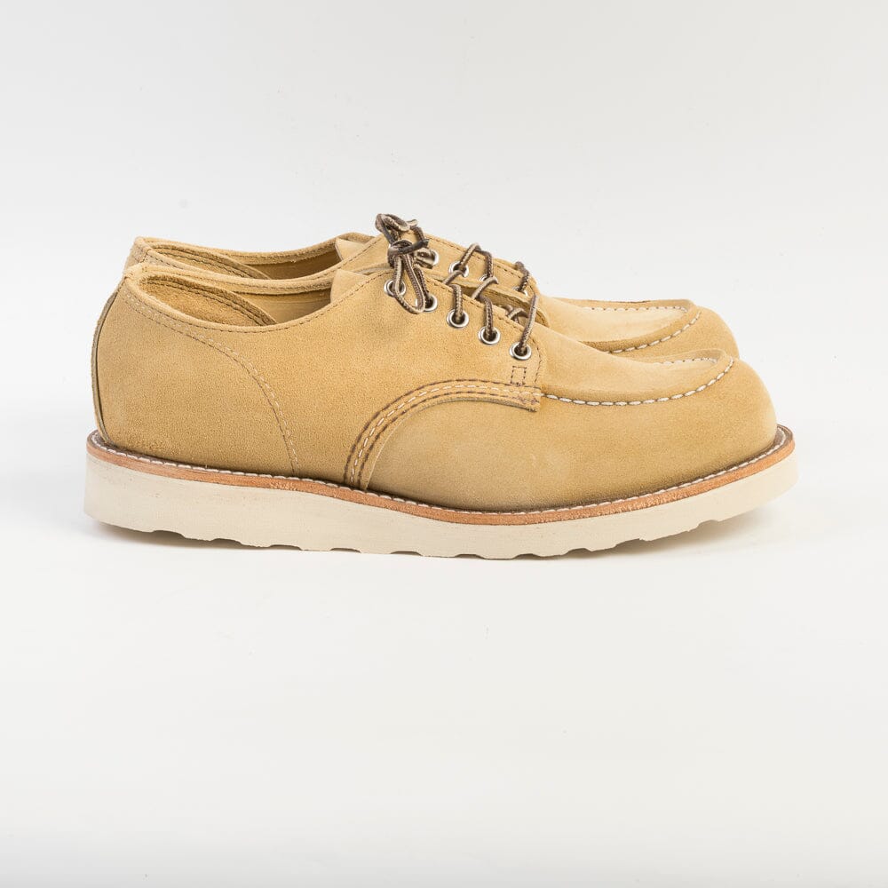 RED WING - 8079 - Oxford Hawthorne Sabbia Scarpe Uomo Red Wing Shoes