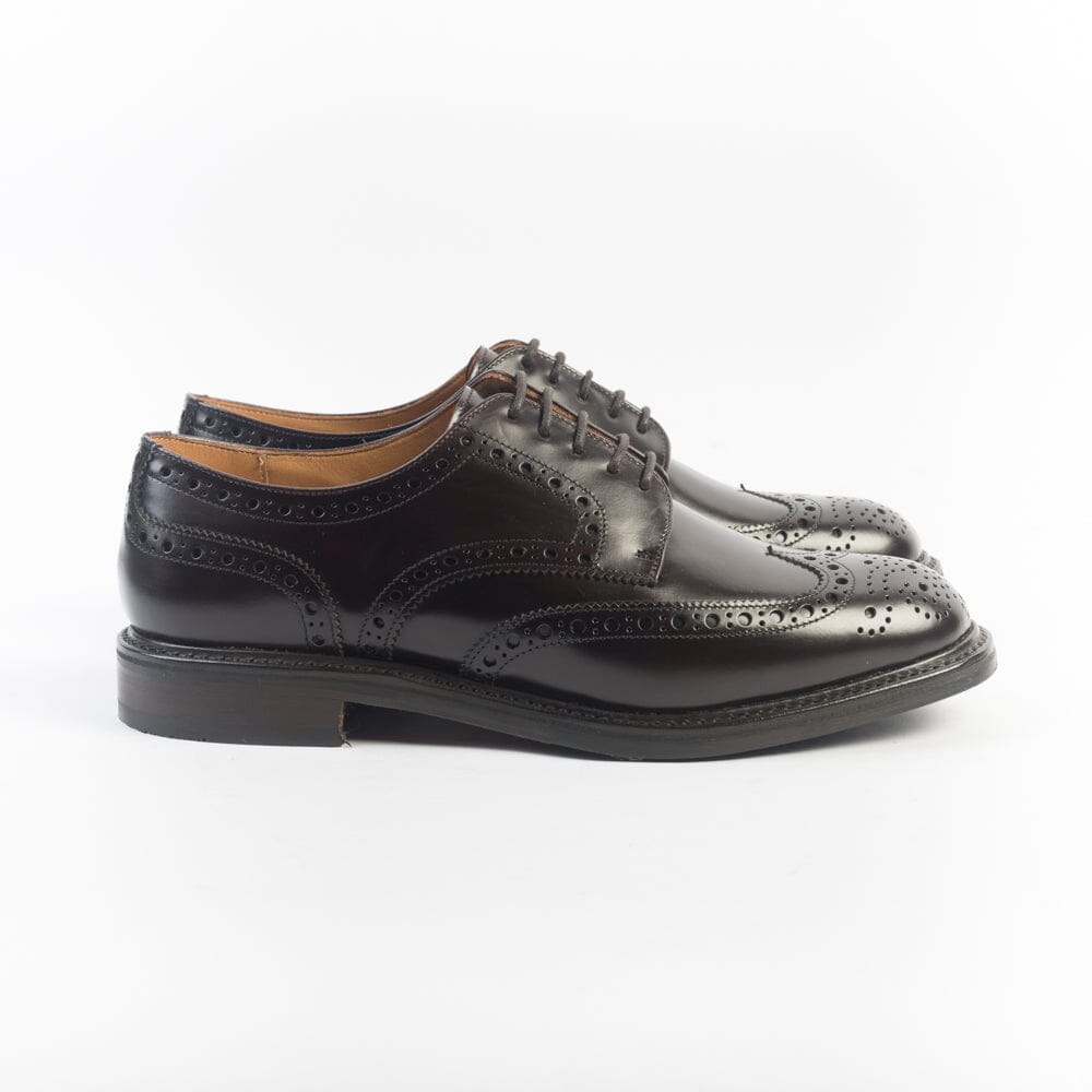 BERWICK 1707 - 5544 - Derby Duilio - Marrone Scarpe Uomo Berwick 1707