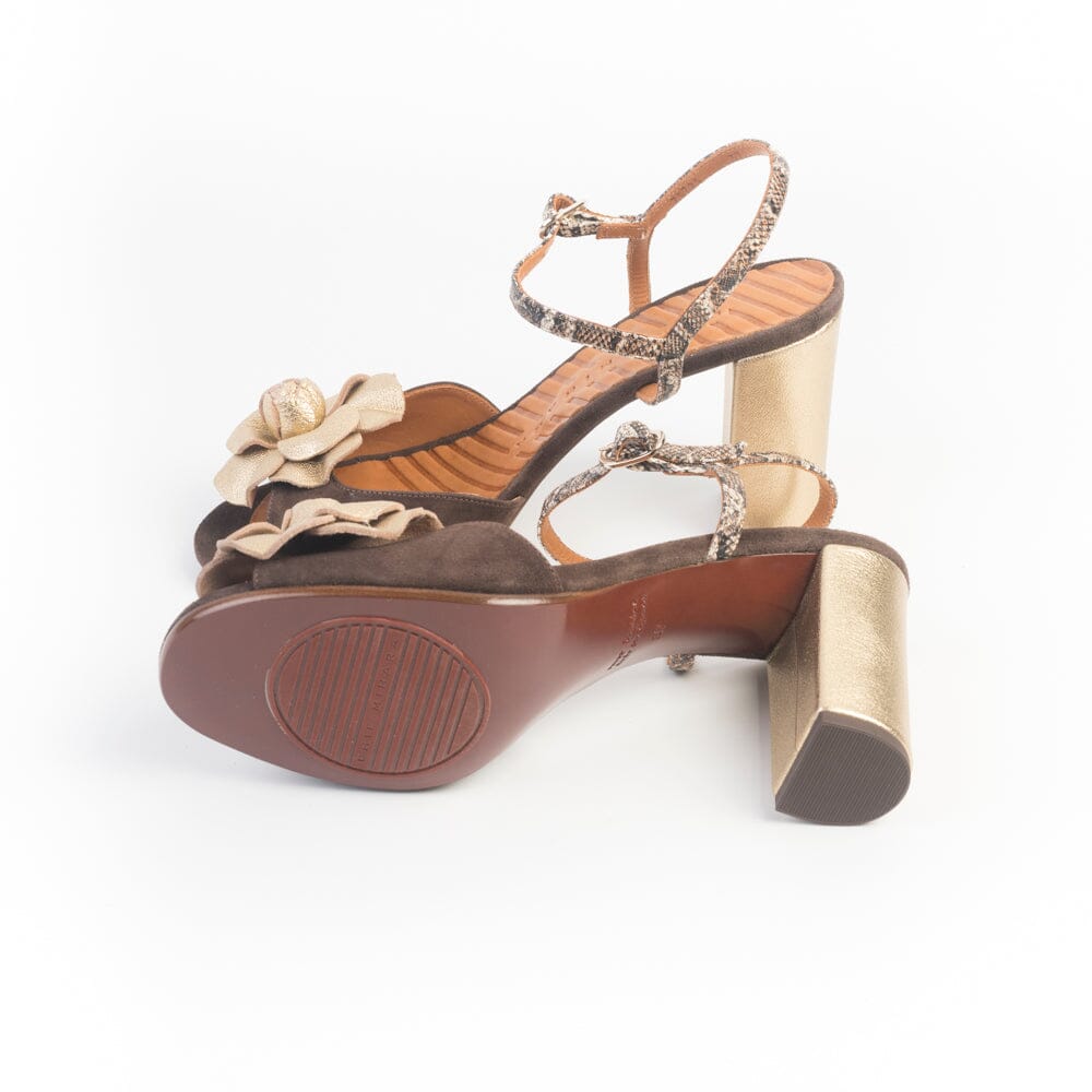 CHIE MIHARA - Sandali con Tacco - BIUTY - Champagne Marrone Scarpe Donna CHIE MIHARA - Collezione Donna
