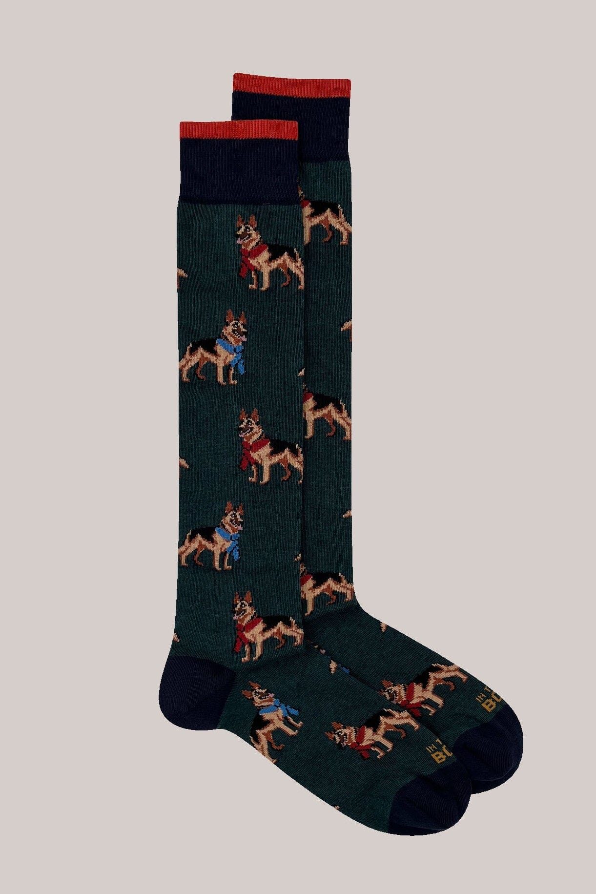 IN THE BOX - Calzini - Pastore Tedesco - Verde scuro Accessori Uomo IN THE BOX