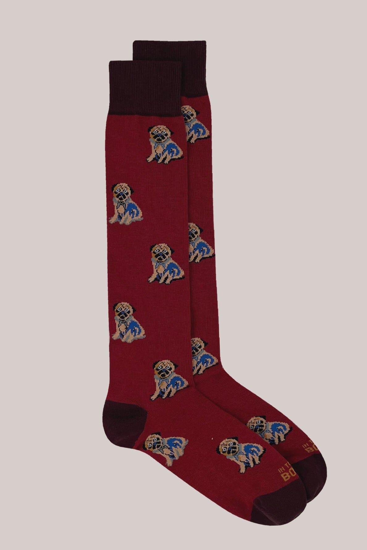 IN THE BOX - Calzini - Carlino - Rosso Accessori Uomo IN THE BOX