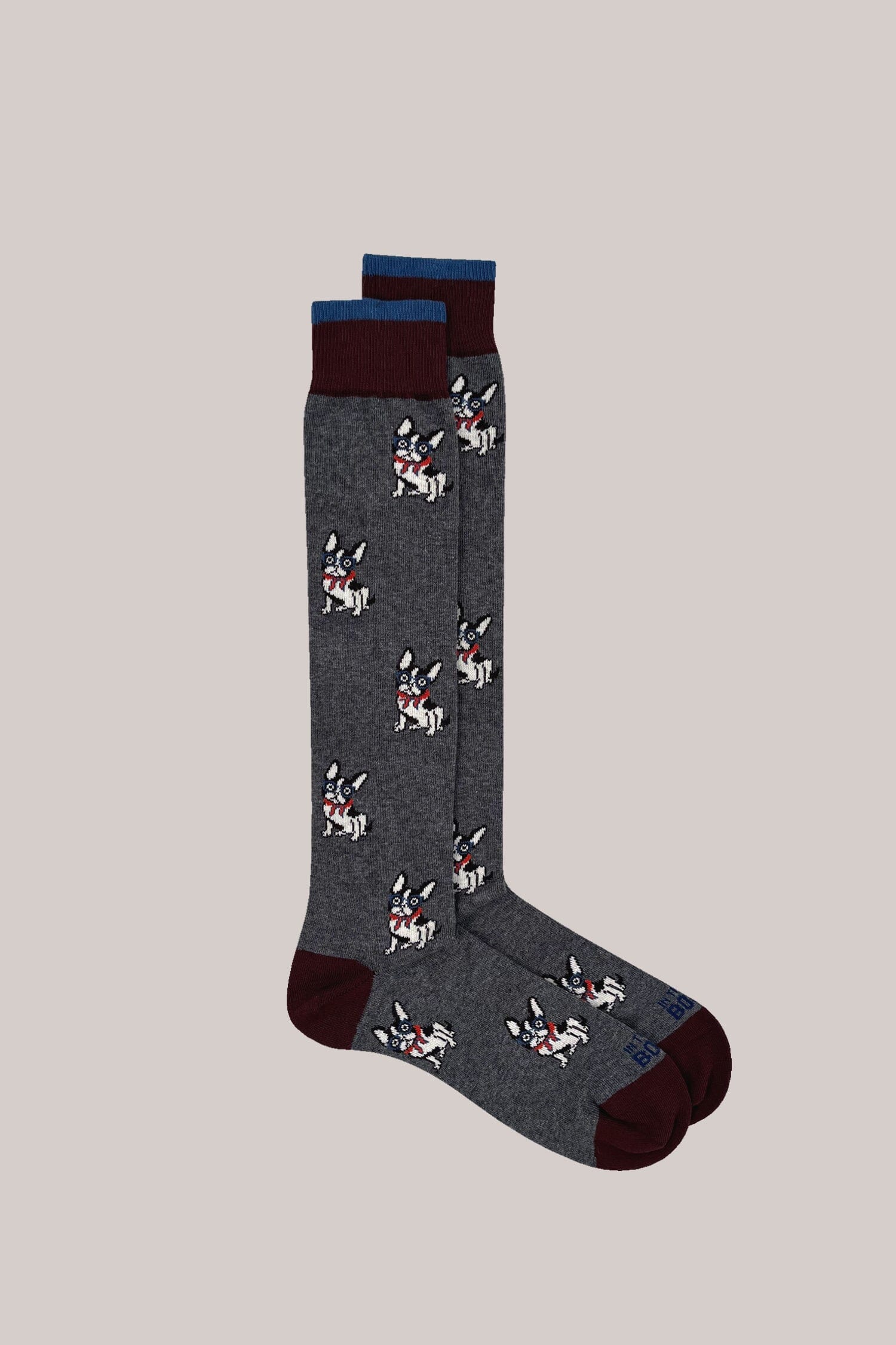 IN THE BOX - Calzini - French Bulldog - Grigio Accessori Uomo IN THE BOX