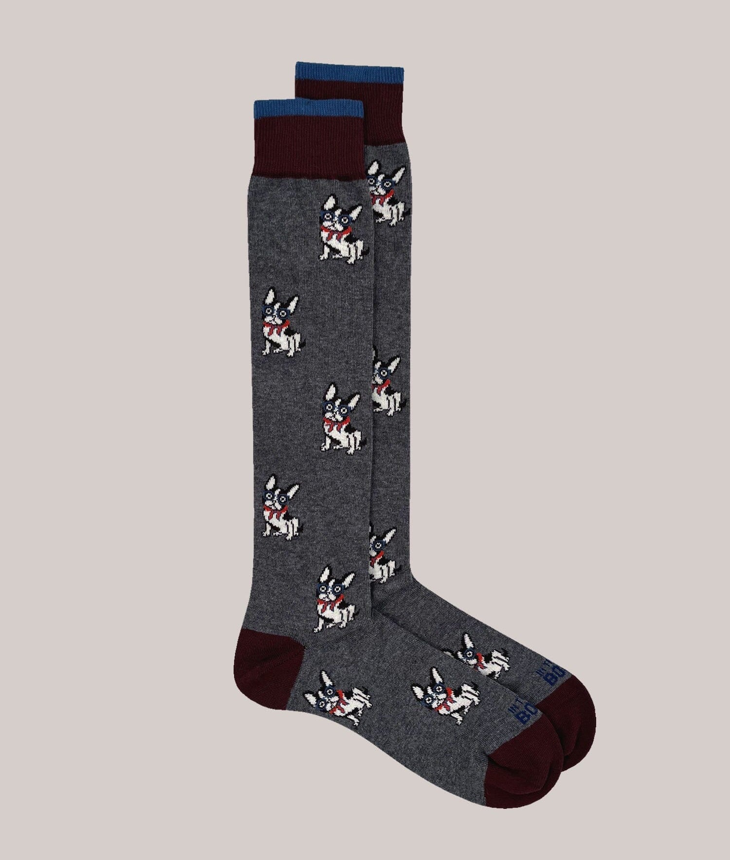 IN THE BOX - Calzini - French Bulldog - Grigio Accessori Uomo IN THE BOX