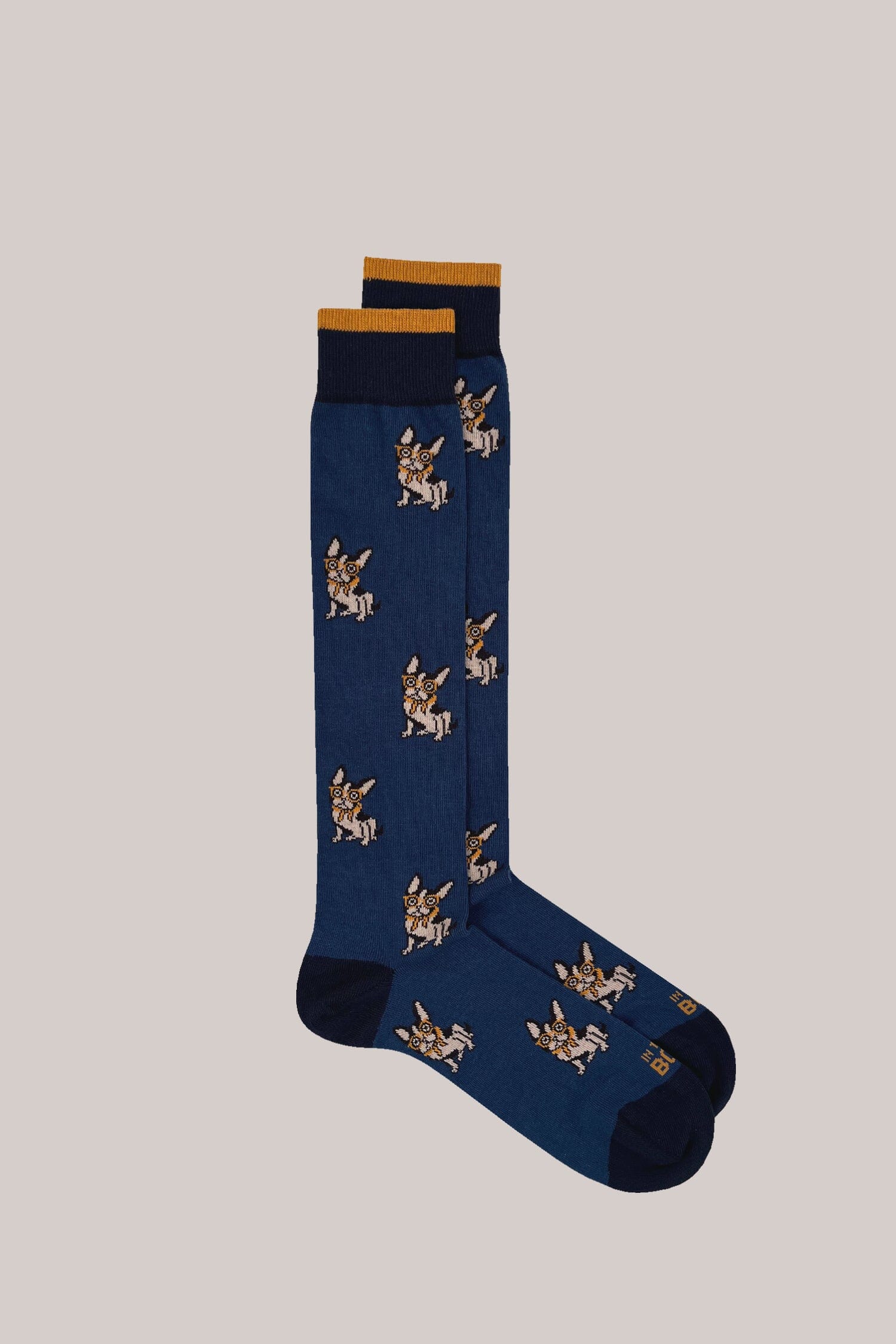 IN THE BOX - Calzini - French Bulldog - Blu Accessori Uomo IN THE BOX