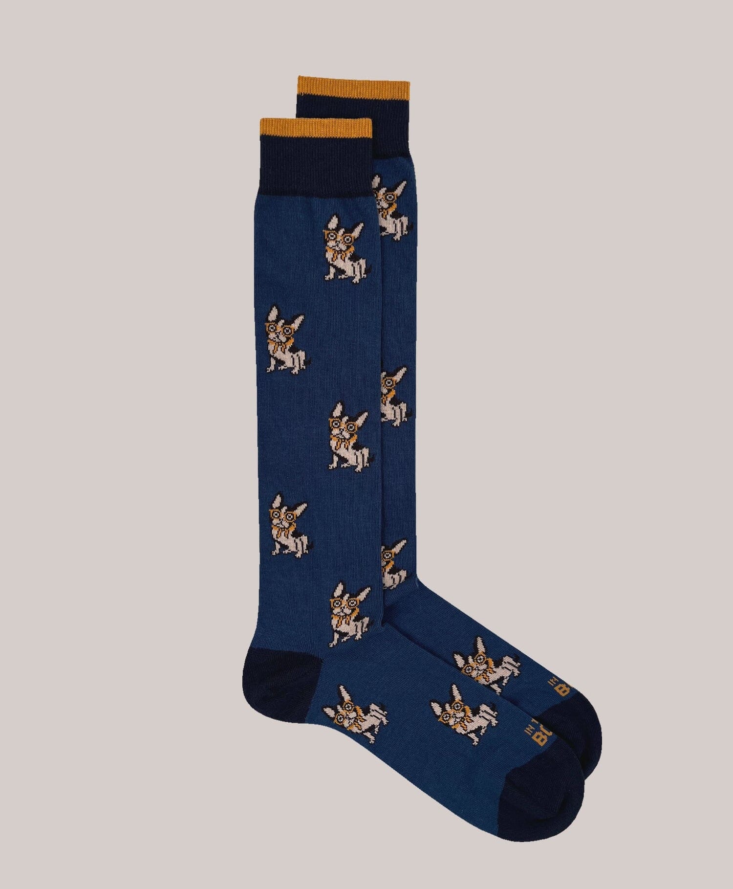 IN THE BOX - Calzini - French Bulldog - Blu Accessori Uomo IN THE BOX