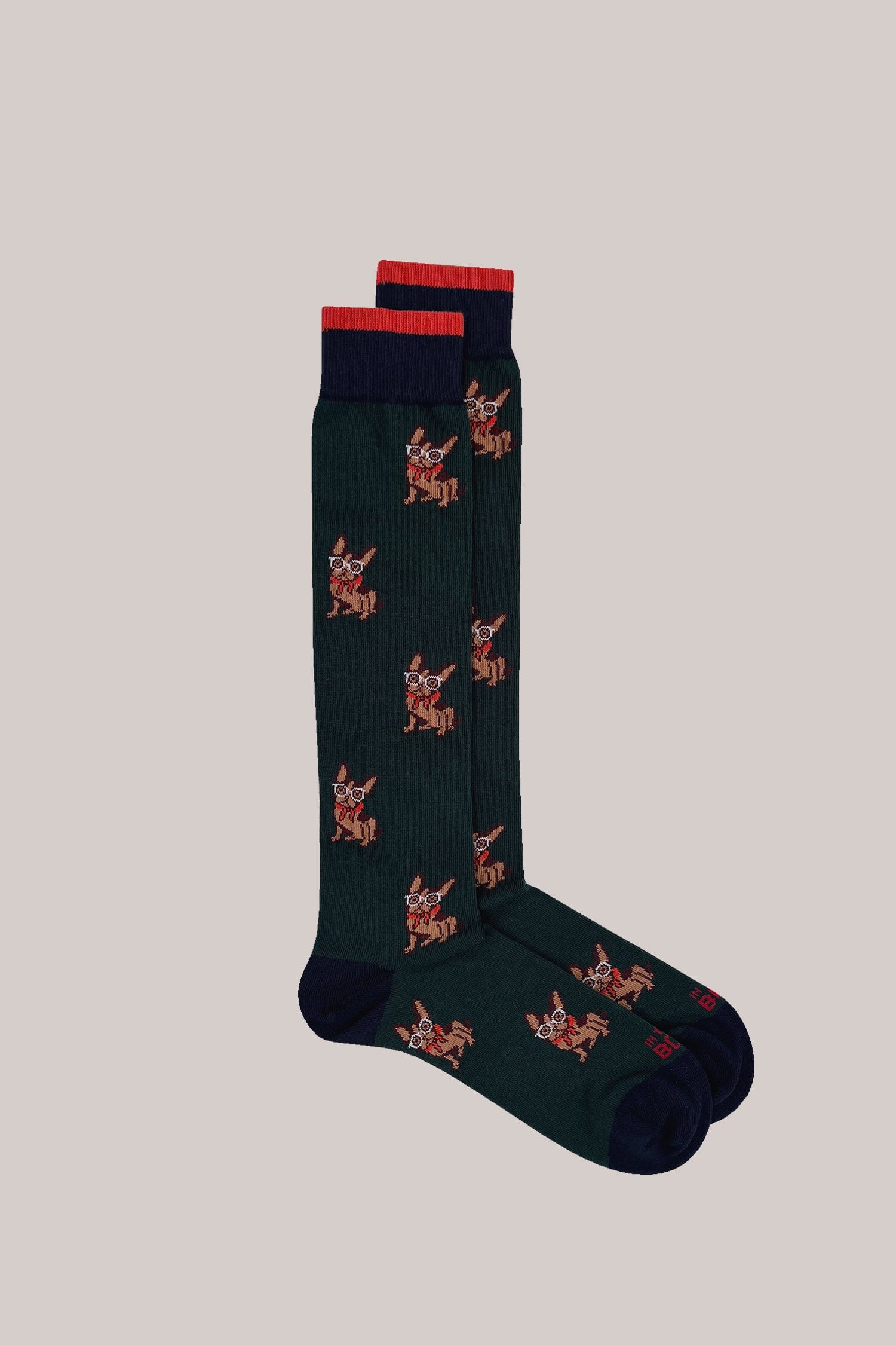 IN THE BOX - Calzini - French Bulldog - Verde Accessori Uomo IN THE BOX