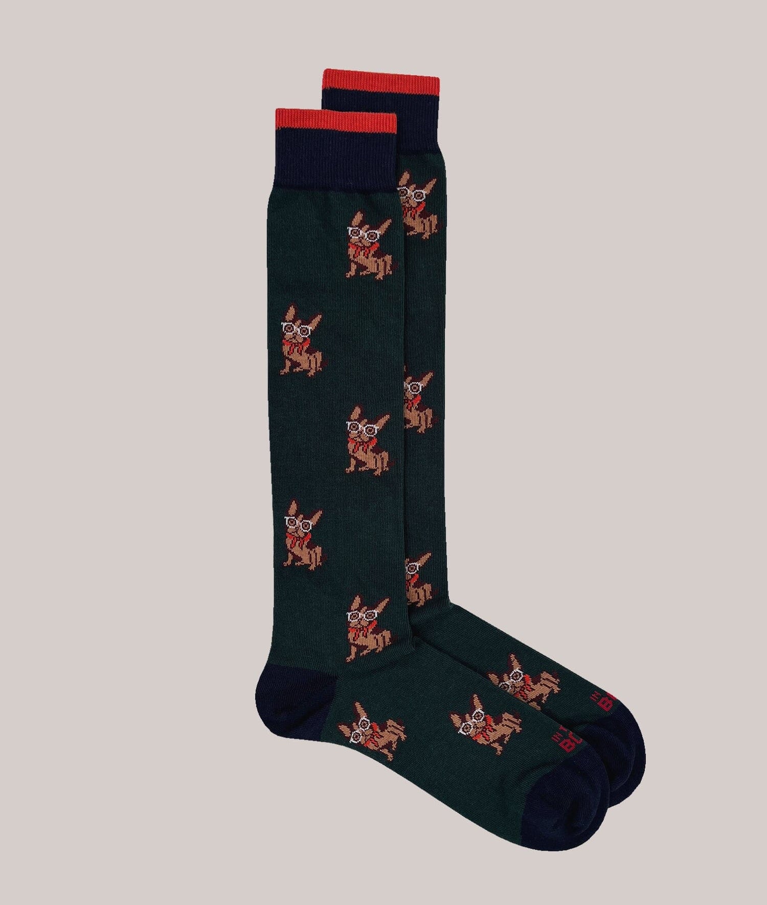 IN THE BOX - Calzini - French Bulldog - Verde Accessori Uomo IN THE BOX