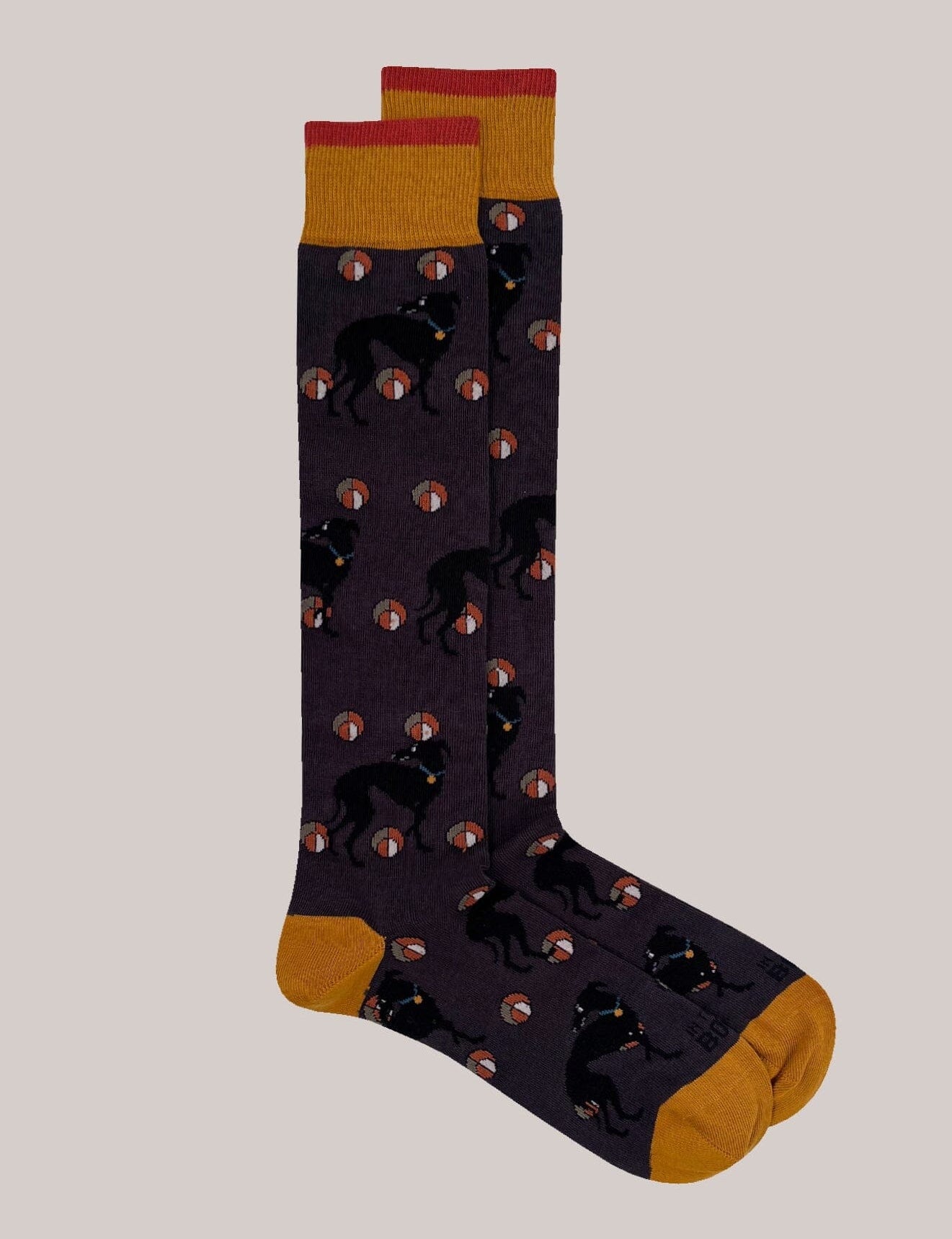 IN THE BOX - Calzini - Levriero - Grigio scuro Accessori Uomo IN THE BOX