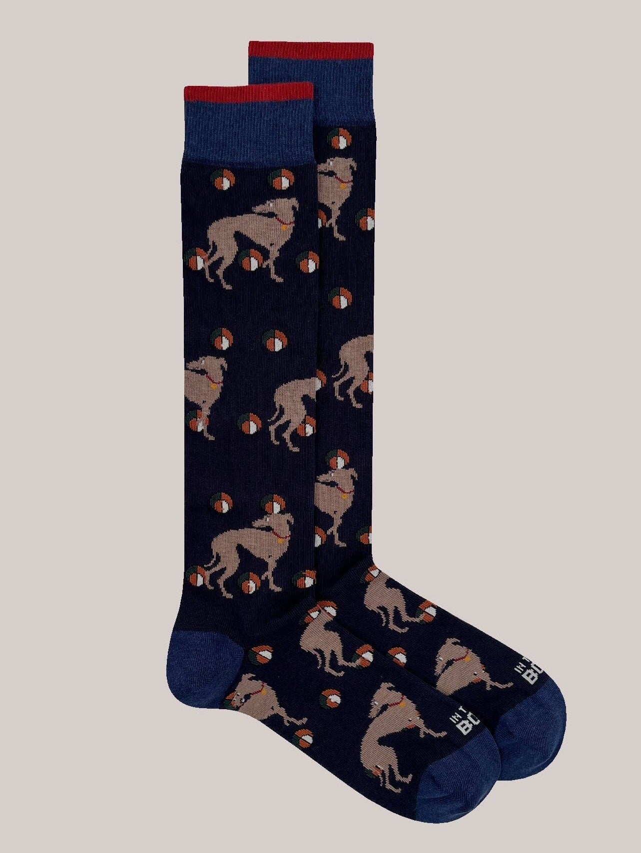 IN THE BOX - Calzini - Levriero - Blu Accessori Uomo IN THE BOX