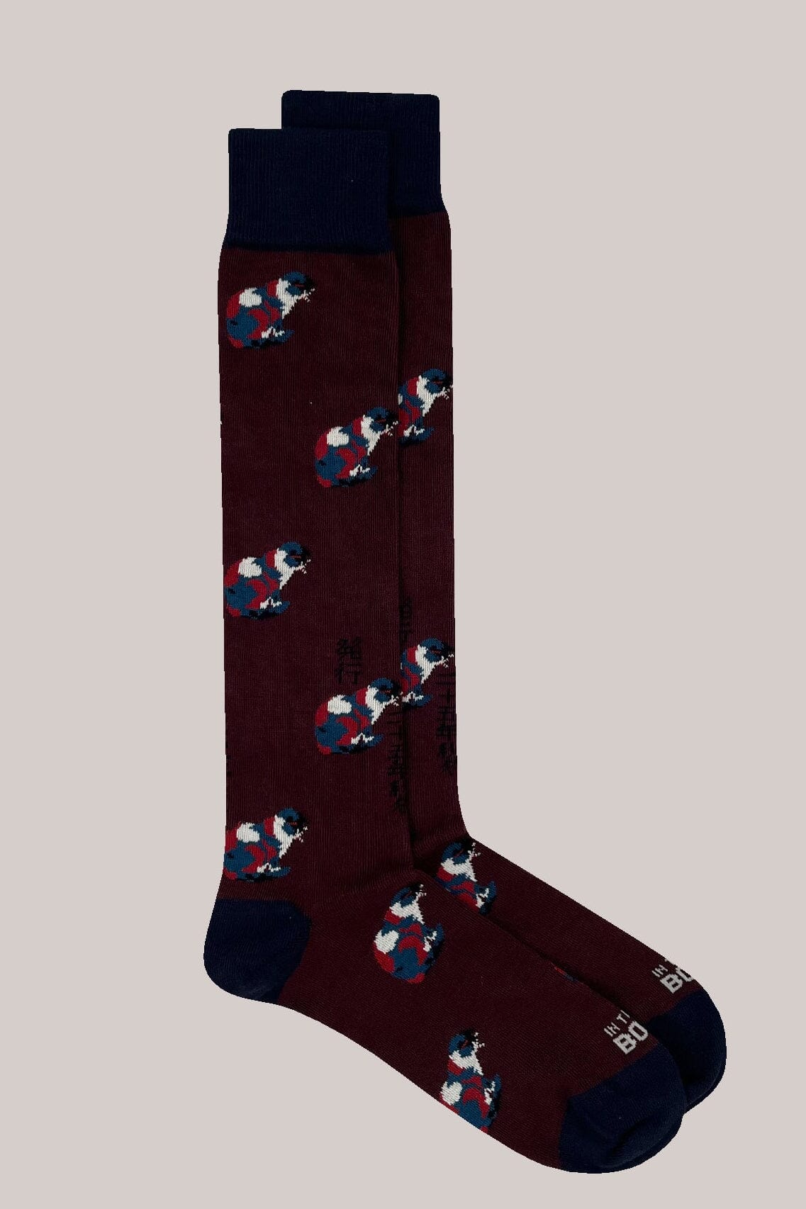 IN THE BOX - Calzini - Cat - Prugna Accessori Uomo IN THE BOX