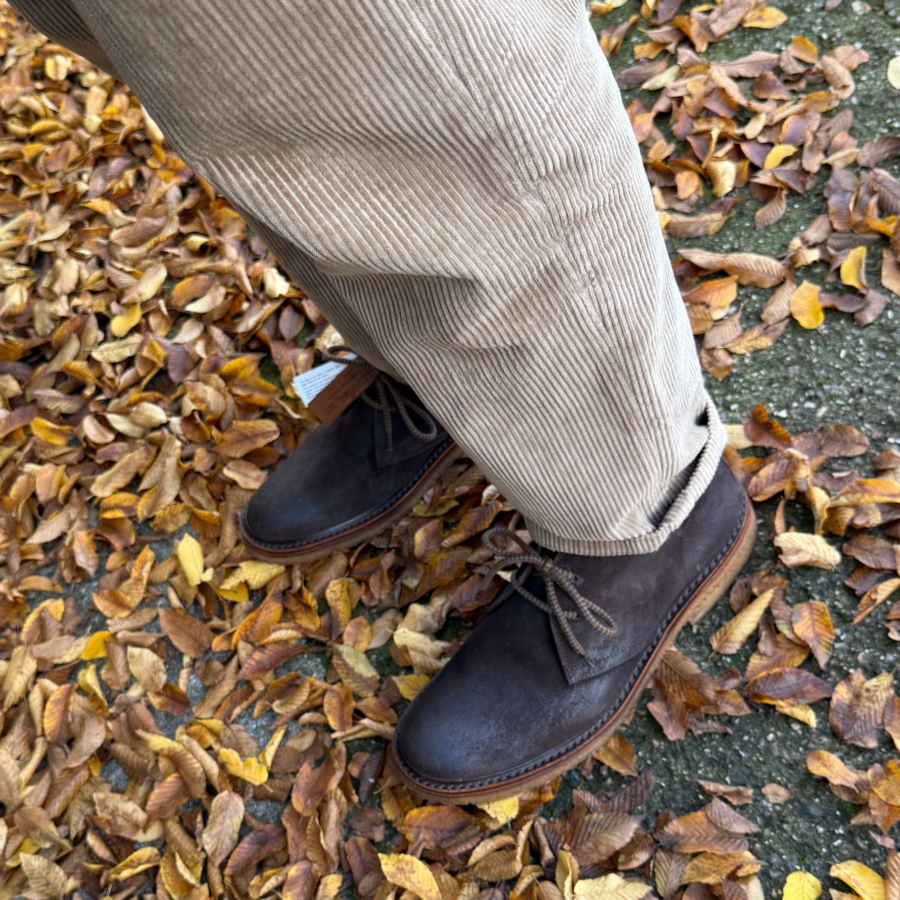 ASTORFLEX - Polacco - Pontflex - 446 - Caffè Scarpe Uomo ASTORFLEX - Collezione Uomo