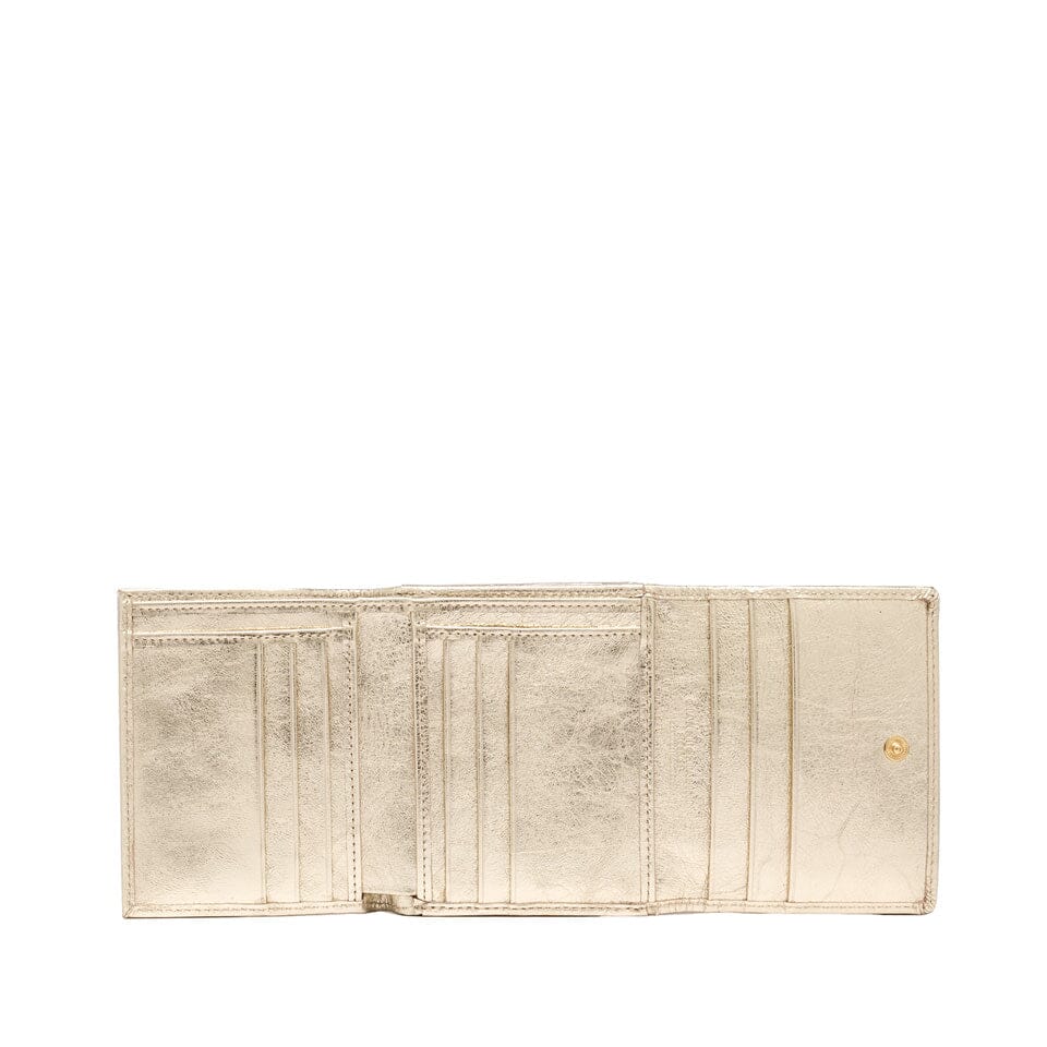 GIANNI CHIARINI FIRENZE - Portafogli 5080 - Laminato Platino Accessori Donna Gianni Chiarini