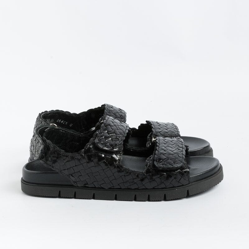 PONS QUINTANA - Sandali CAIMAN 9745 - Nero Scarpe Donna PONS QUINTANA