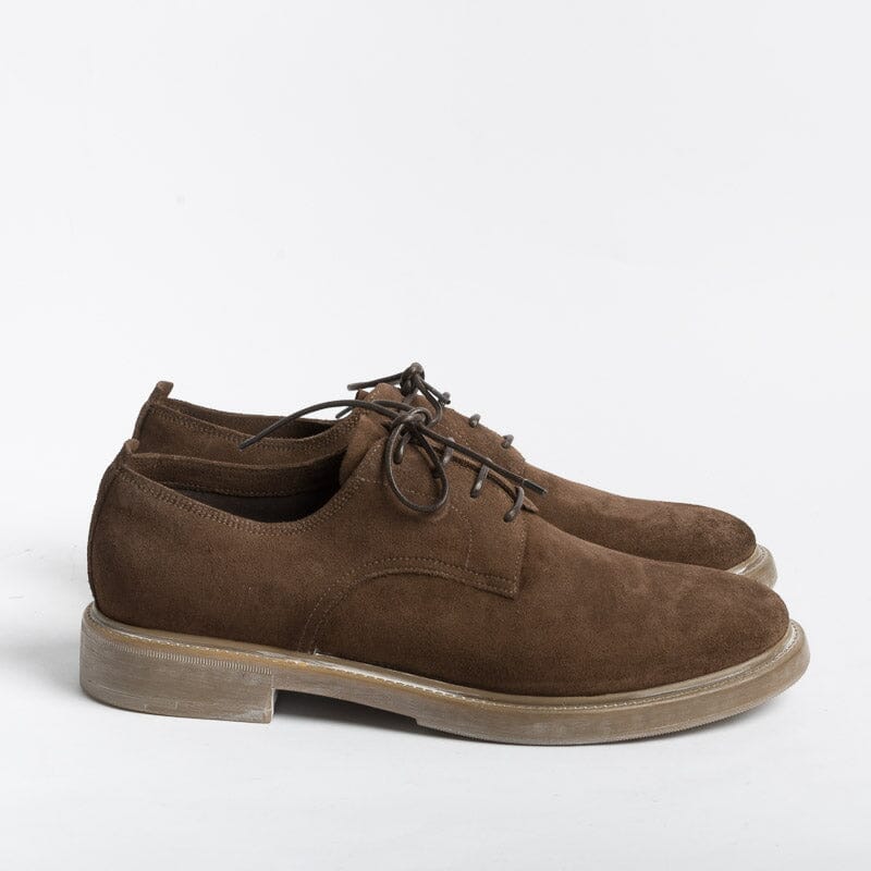 SILVANO SASSETTI - Derby - Crosty Moro Scarpe Uomo SILVANO SASSETTI - Collezione Uomo