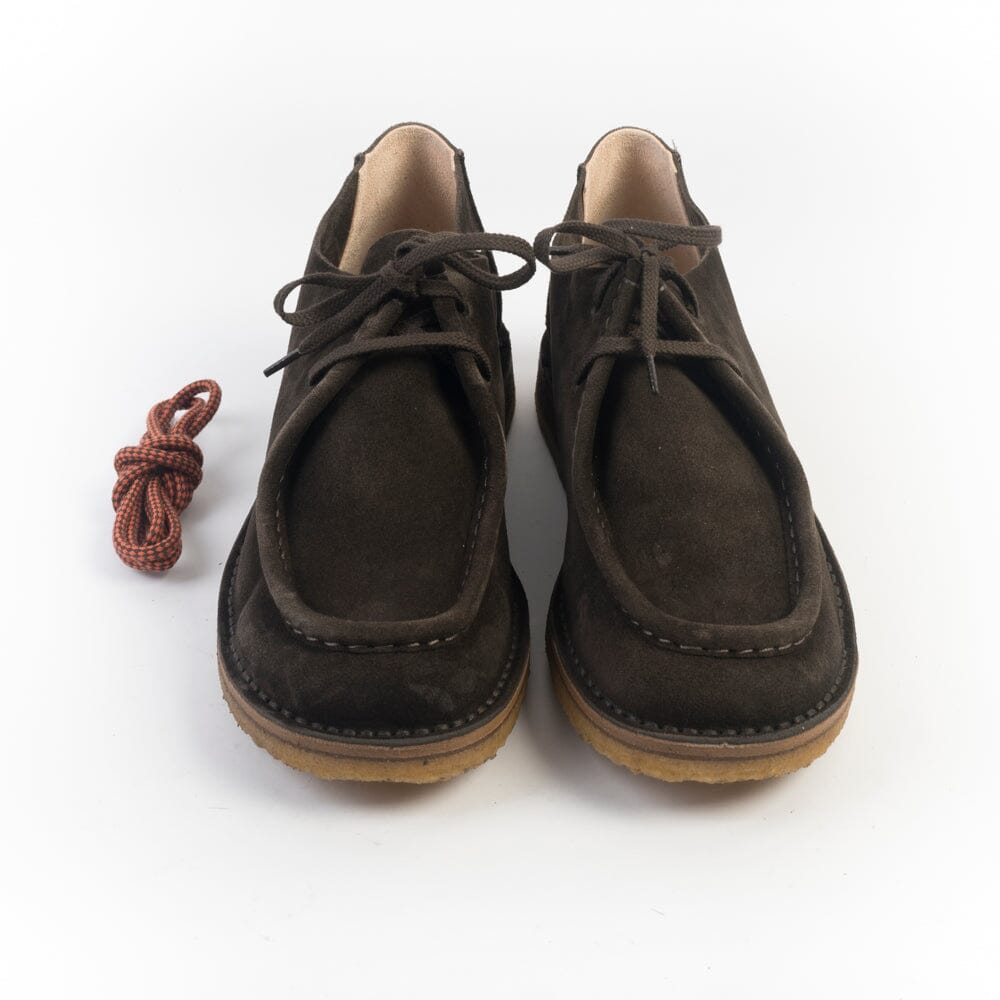 ASTORFLEX - Polacco - 480 - Beenflex - Testa di moro Scarpe Uomo ASTORFLEX - Colllezione Uomo 