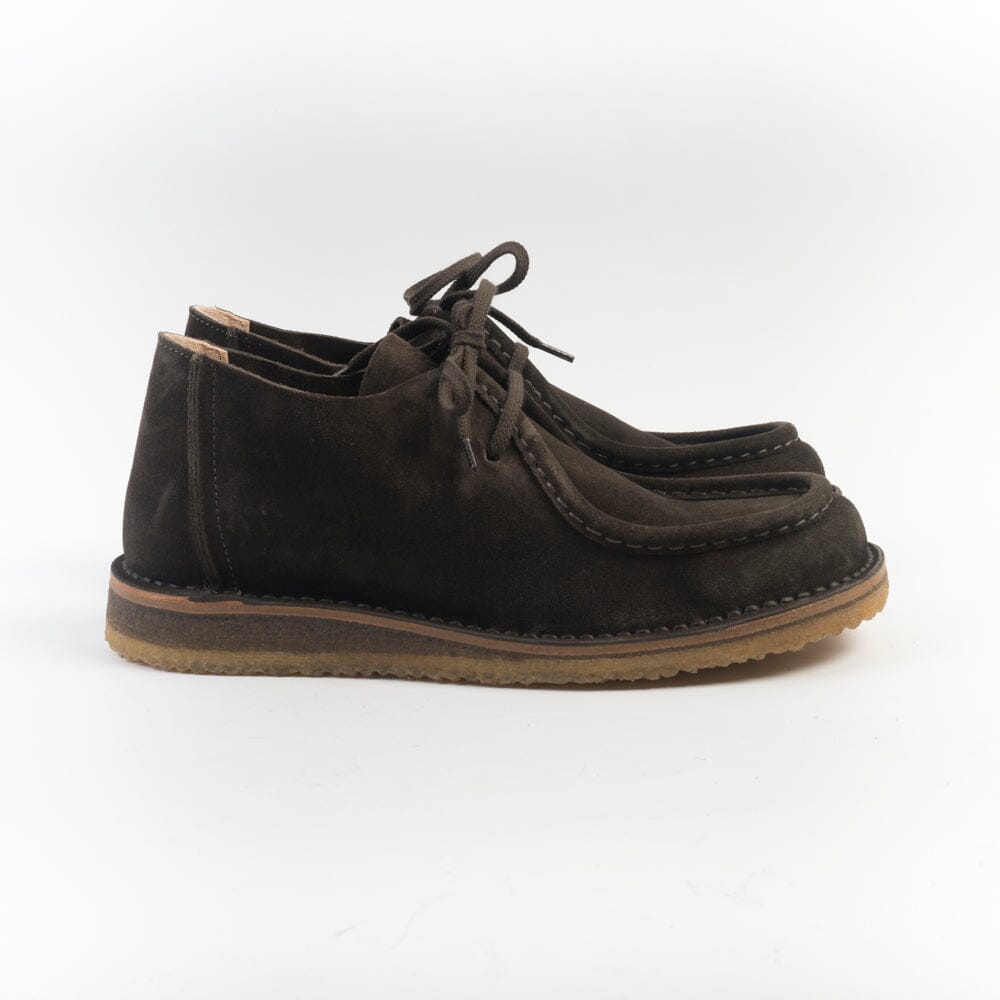 ASTORFLEX - Polacco - 480 - Beenflex - Testa di moro Scarpe Uomo ASTORFLEX - Colllezione Uomo 