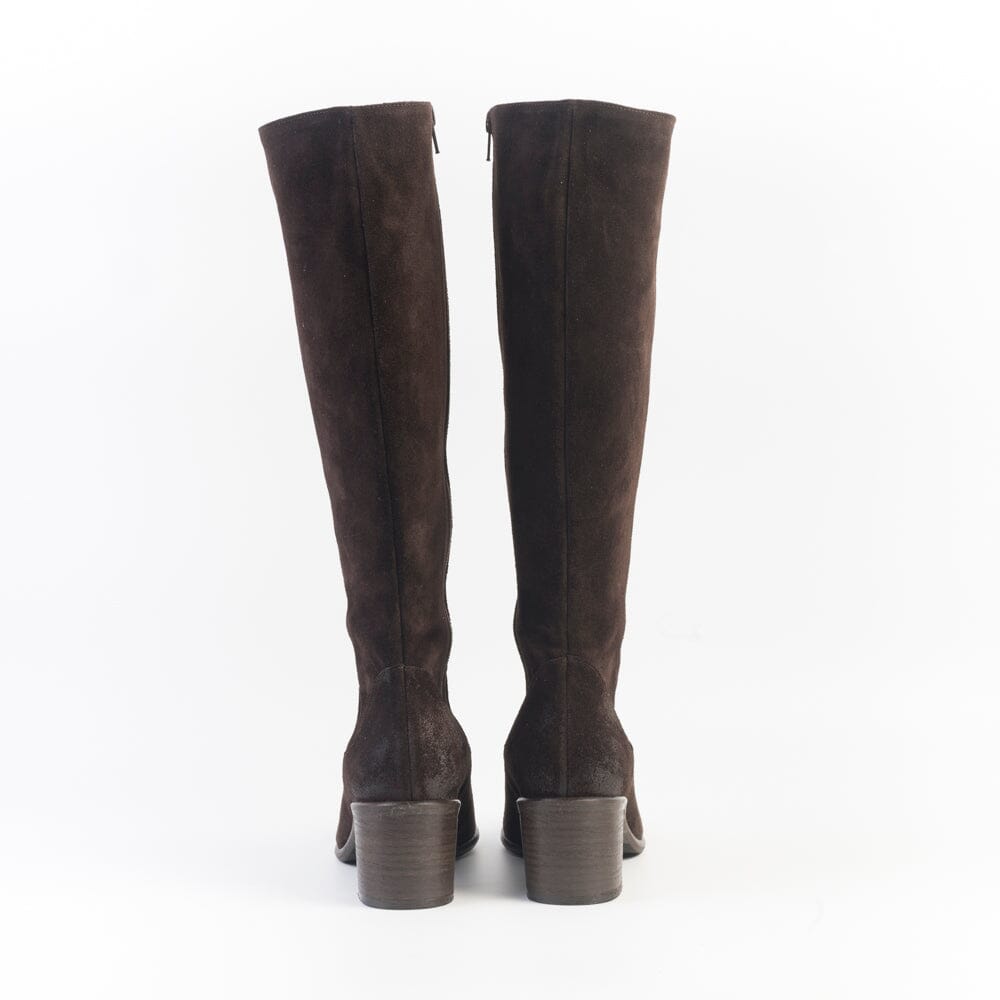 CAPPELLETTOSHOP URBAN - Stivali 1980TR - Sayo Caffè Scarpe Donna CAPPELLETTO 1948 