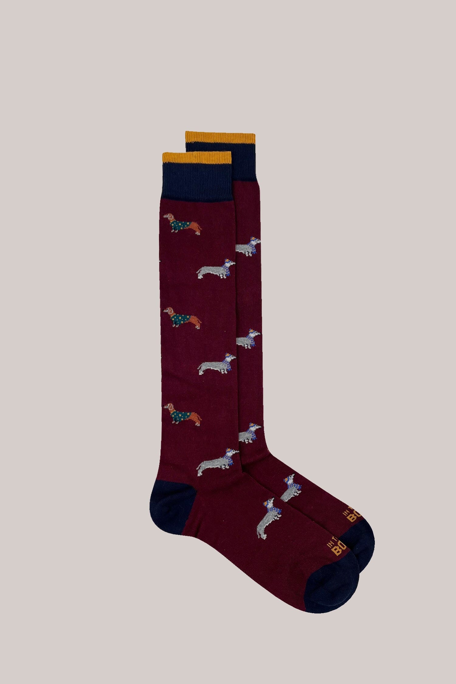 IN THE BOX - Calzini - French Bassotto - Bordeaux Accessori Uomo IN THE BOX 