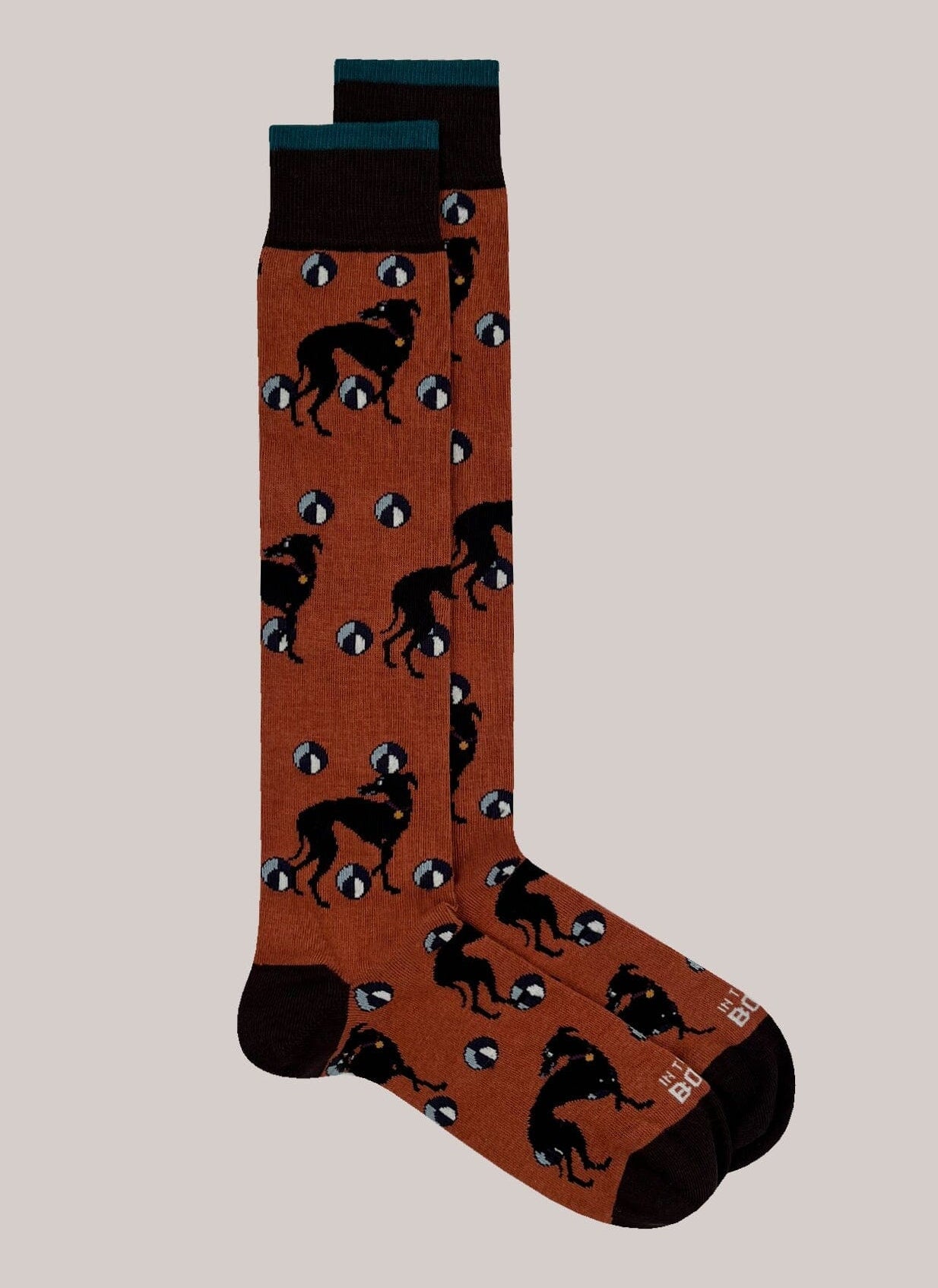 IN THE BOX - Calzini - Levriero - Arancione scuro Accessori Uomo IN THE BOX 