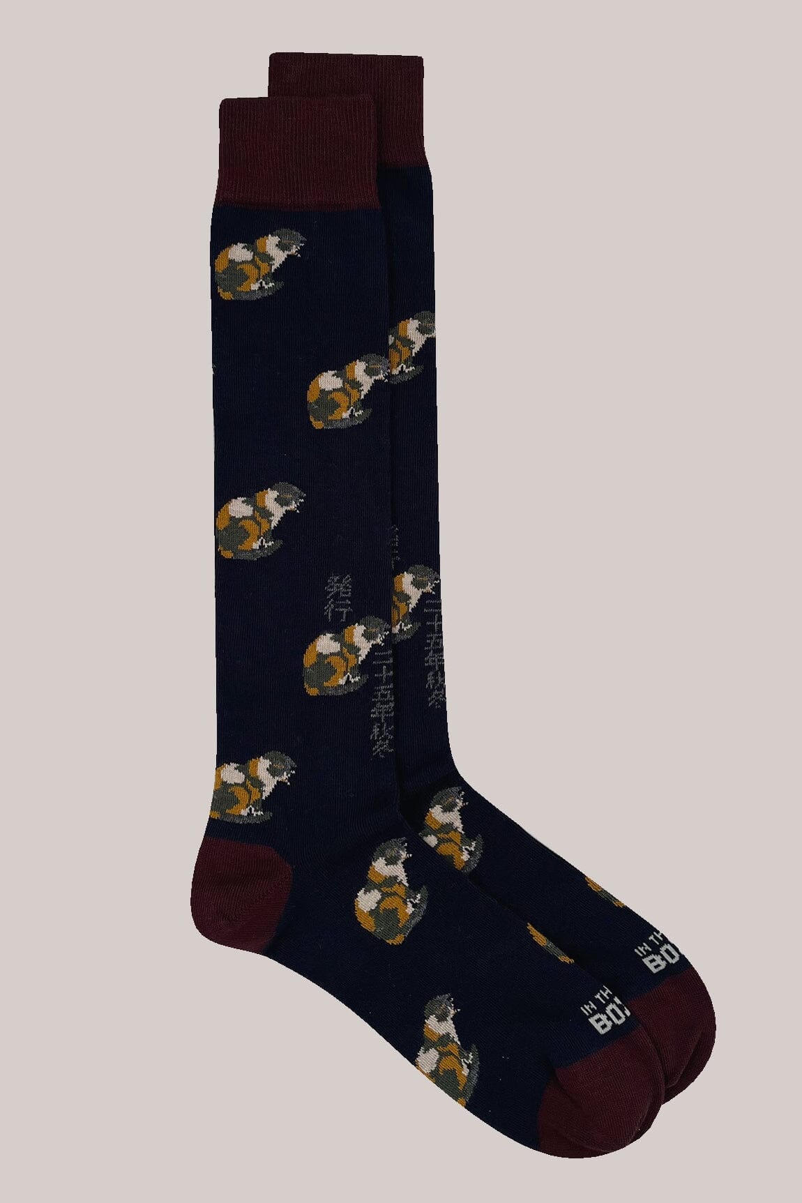 IN THE BOX - Calzini - Cat - Blu Accessori Uomo IN THE BOX 